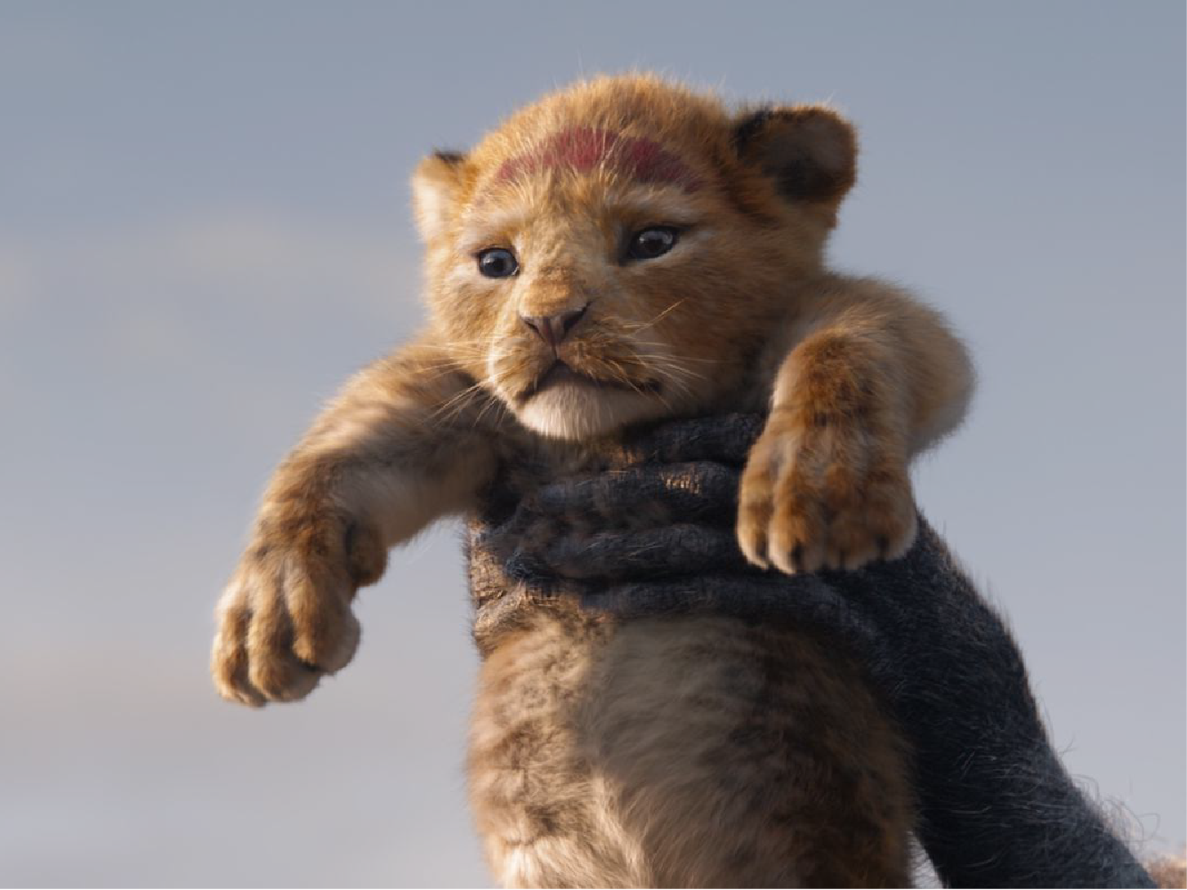 The Lion King Review – The Lion Bores Tonight